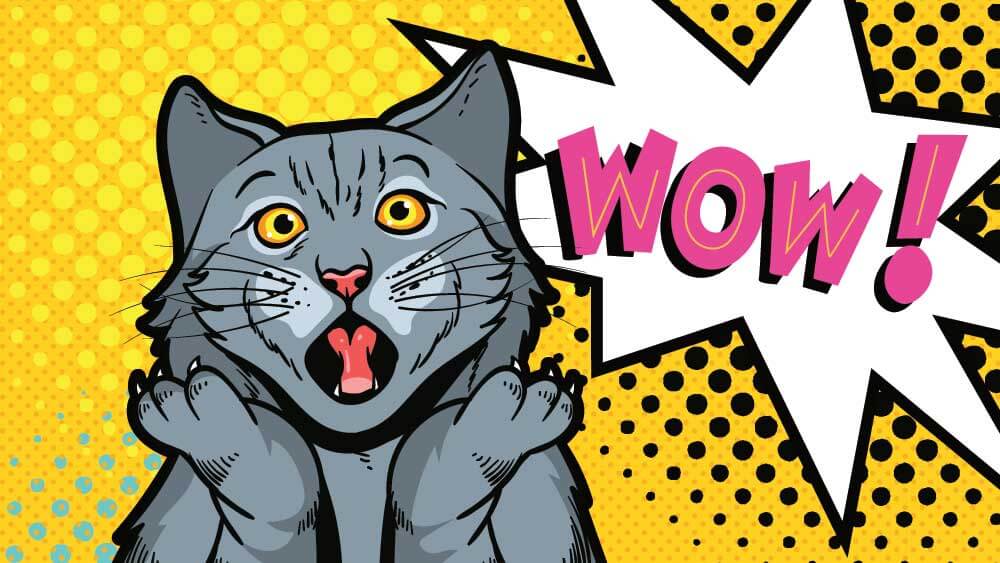 コインランドリーは景気が悪いと儲かる！？業界最大手のTOSEIセミナーレポート Linksbase